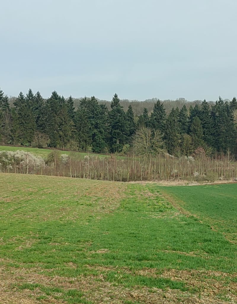 Treux et le Champ d'Enfer - Treux