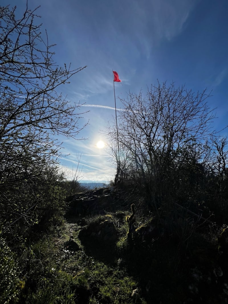 Balade au Lac de Barterand - Pollieu