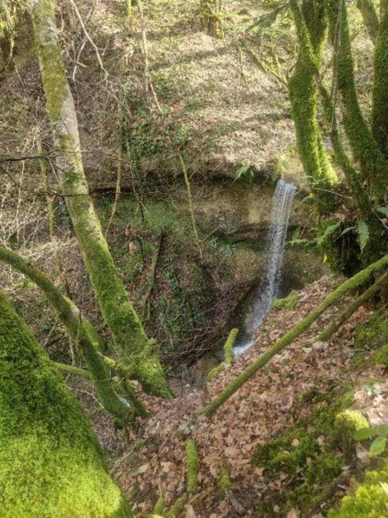Sacré-Cœur et la Combière - Saint-Martin-de-Vaulserre