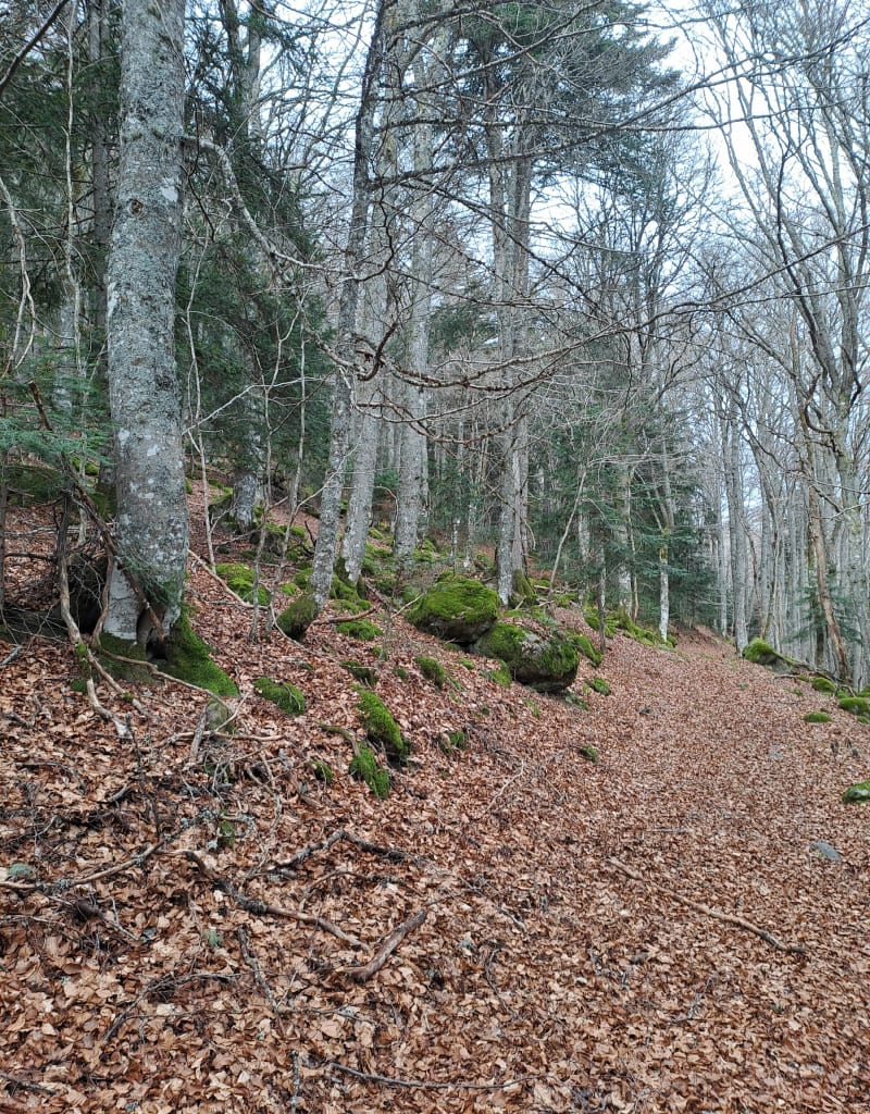 Boucle vallée de l'Epie - Paulhac