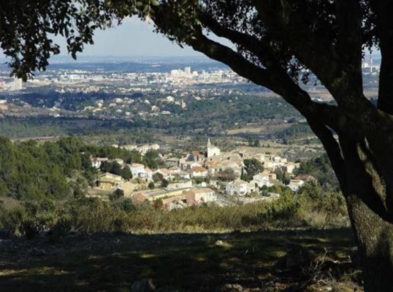 Le Coulazou à Murviel niveau 1/2 - Murviel-lès-Montpellier
