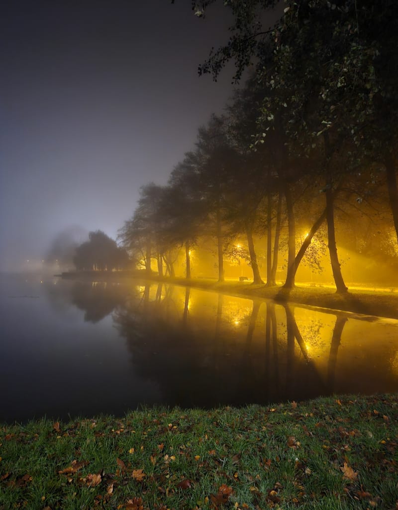 Stawy miejskie oraz zabytkowe budowle w Oleśnicy - Oleśnica
