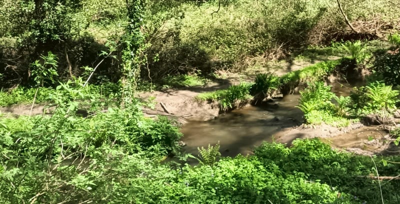 La boucle de Tregonnaux par les bords du Trieux - Trégonneau