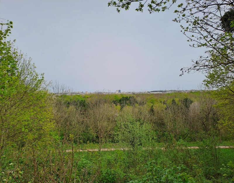 Bois de Vincennes depuis Maisons-Alfort - Maisons-Alfort