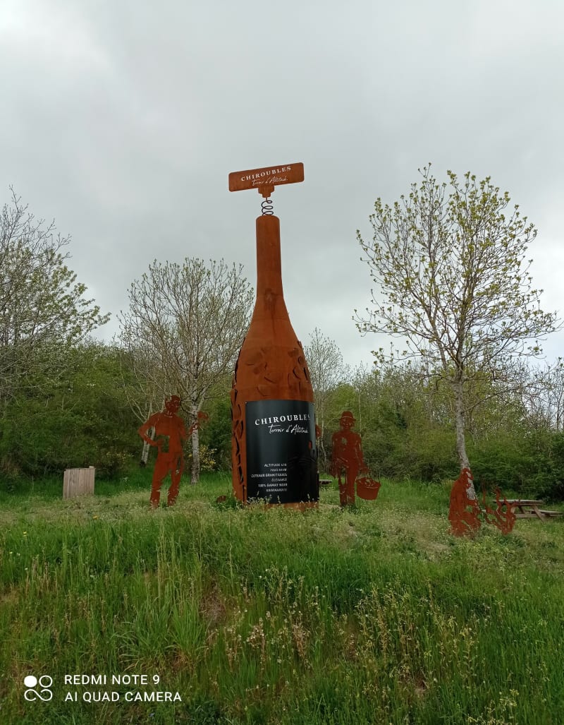 Randonnée beaujolaise au Col de Durbize - Villié-Morgon