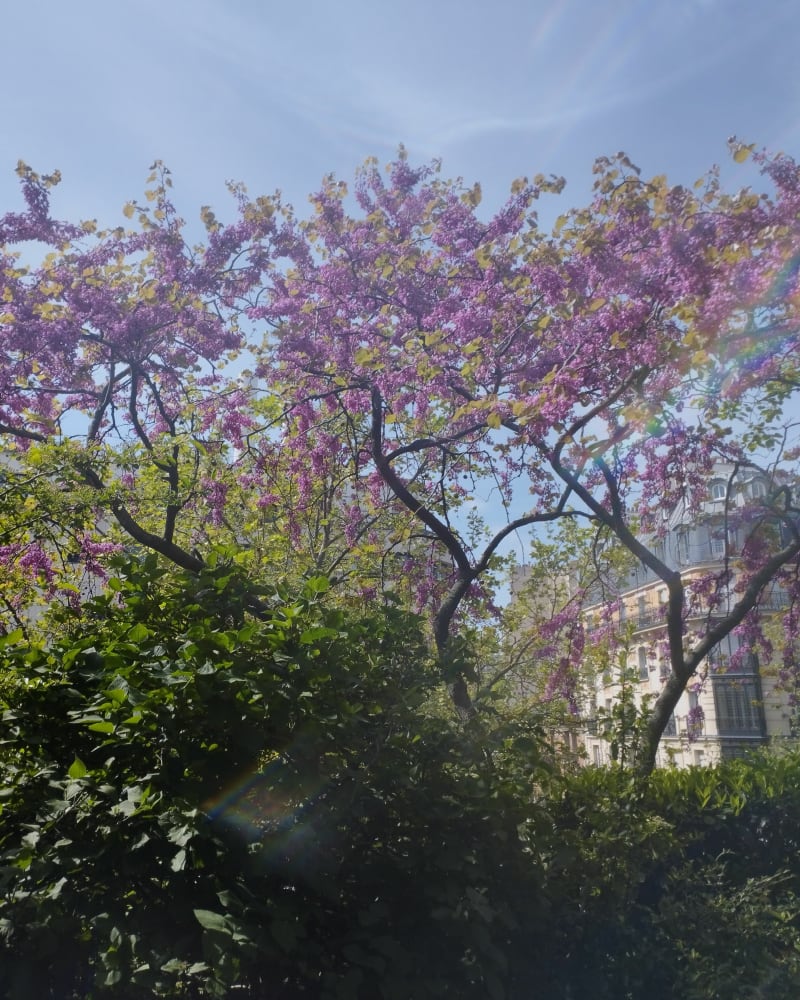 Aller à Paris par la coulée verte et retour en ville - Saint-Mandé