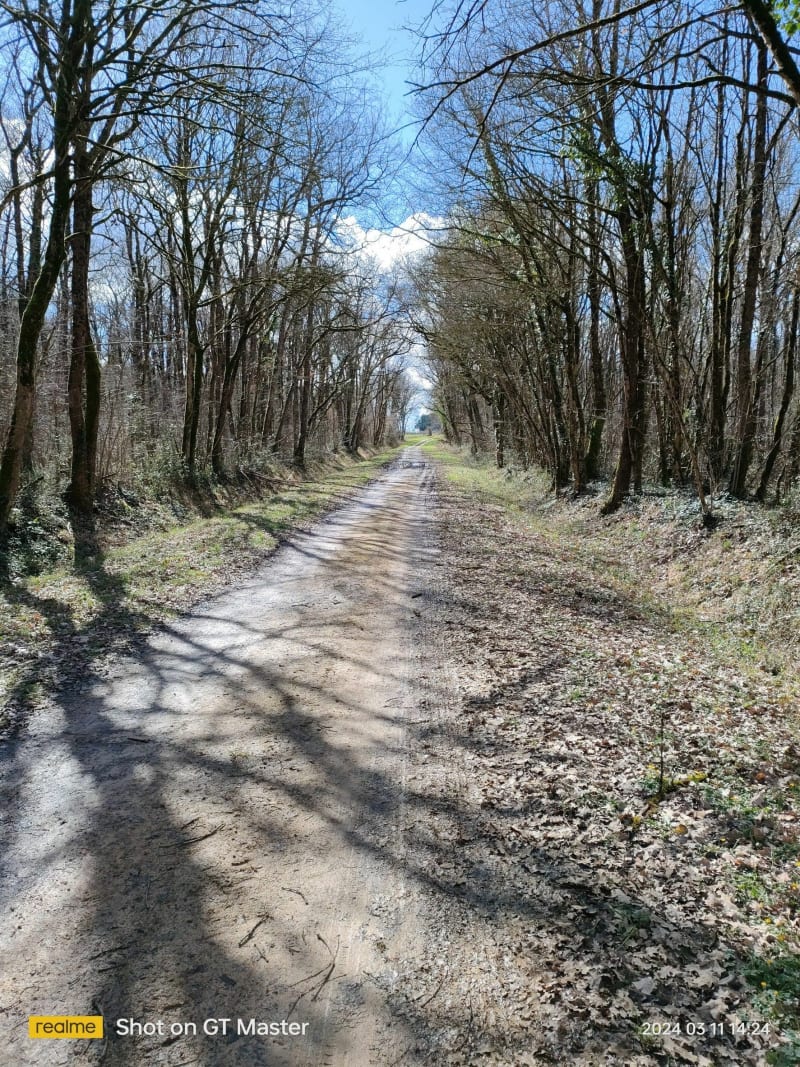 Ambillou-Château et le Circuit La Plongée en Mer des Faluns - Tuffalun