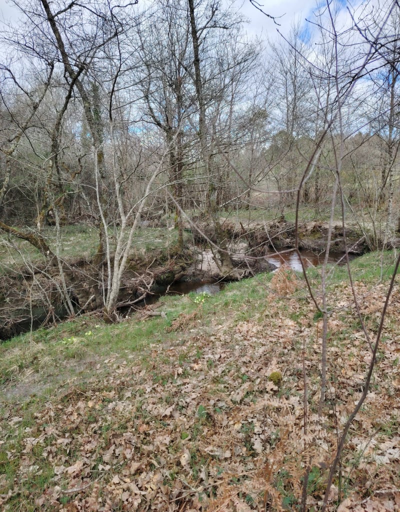 Laruscade par les sous-bois et le Meudon - Laruscade