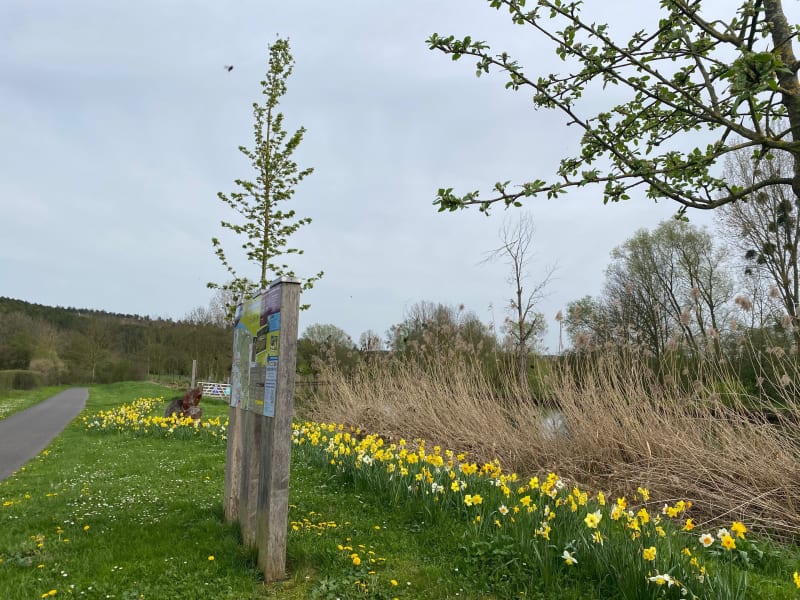Sur les bords du canal de Belleville-sur-Meuse à Samogneux - Belleville-sur-Meuse