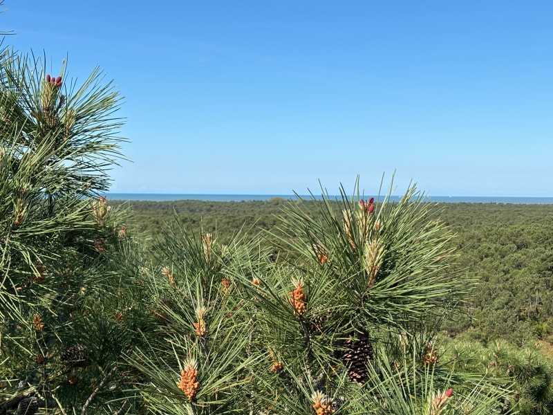 Balade à VTC autour de Fromentine - La Barre-de-Monts