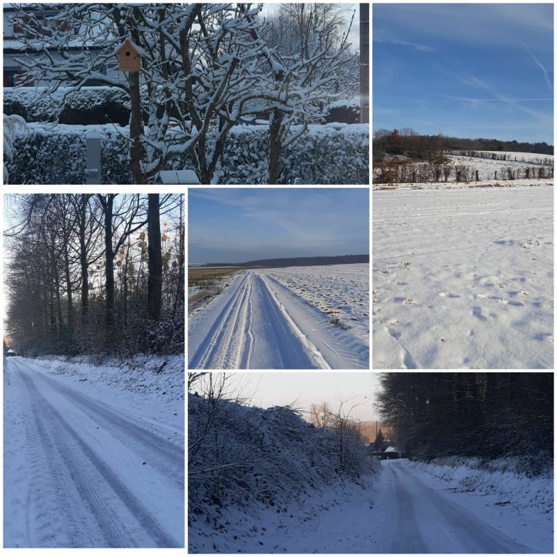 Les hauts de Cambron - Cambron