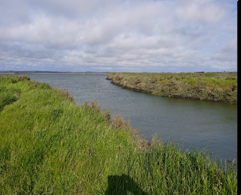 Balade dans les marais de Batz sur Mer - Batz-sur-Mer