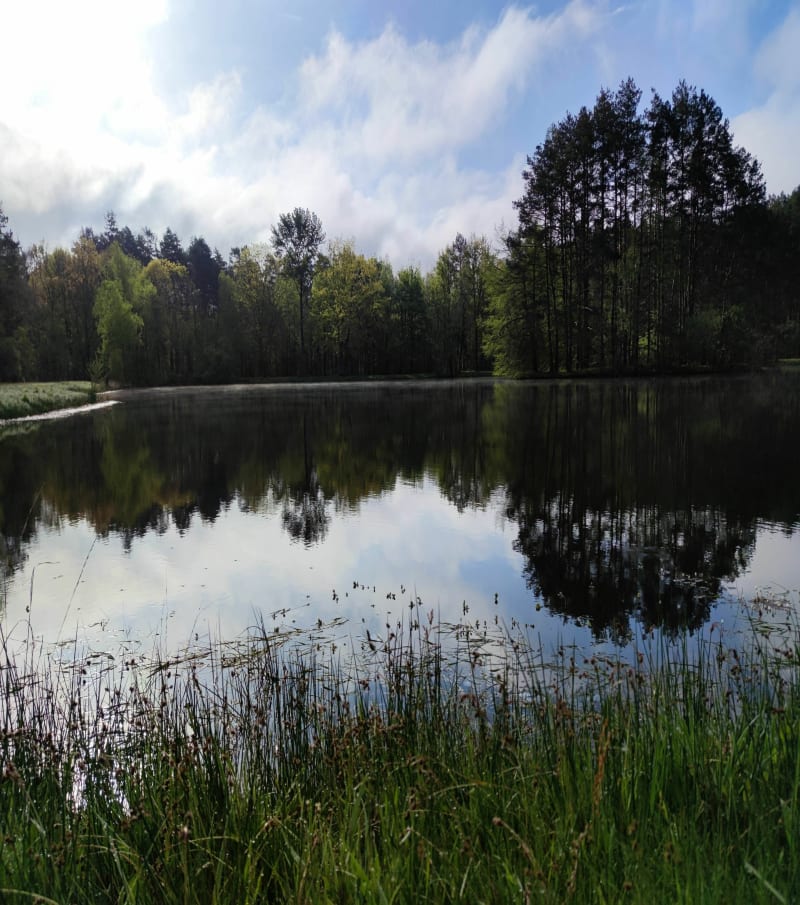 Promenade en Sologne du côté de Souesmes - Souesmes