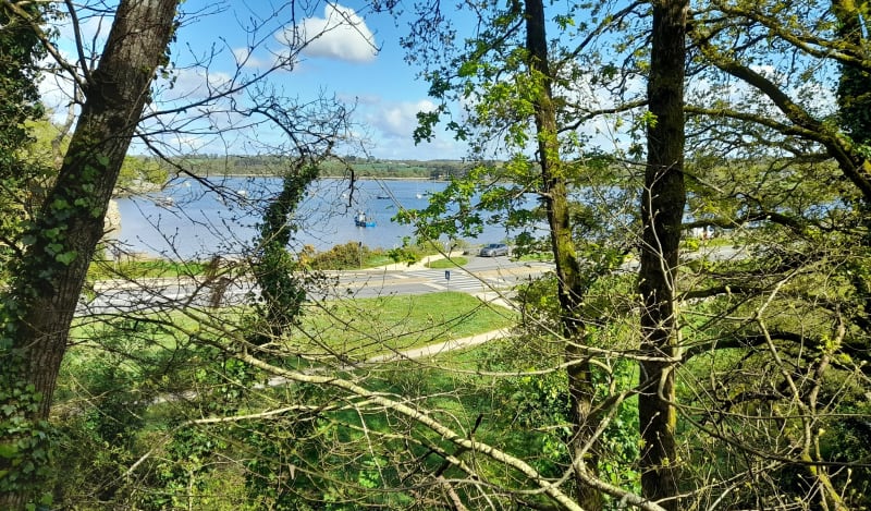 La campagne en bord de Vilaine - Camoël