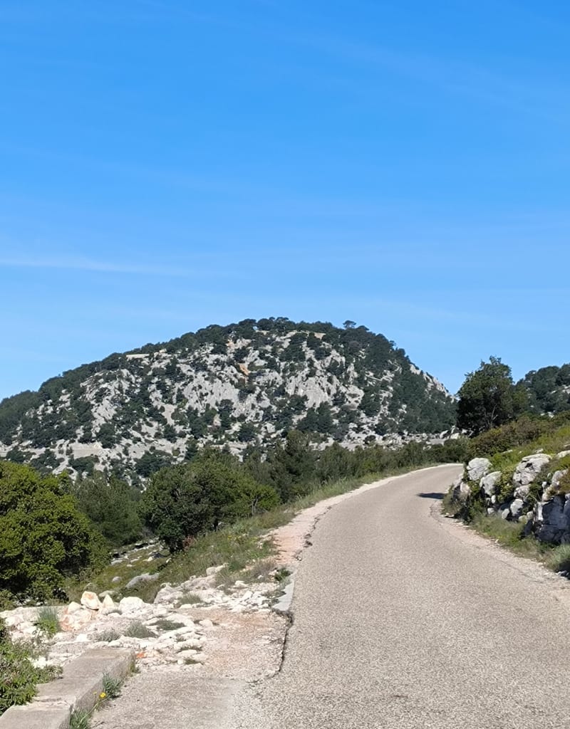 Montée jusqu'au pied du Gros Cerveau - Ollioules