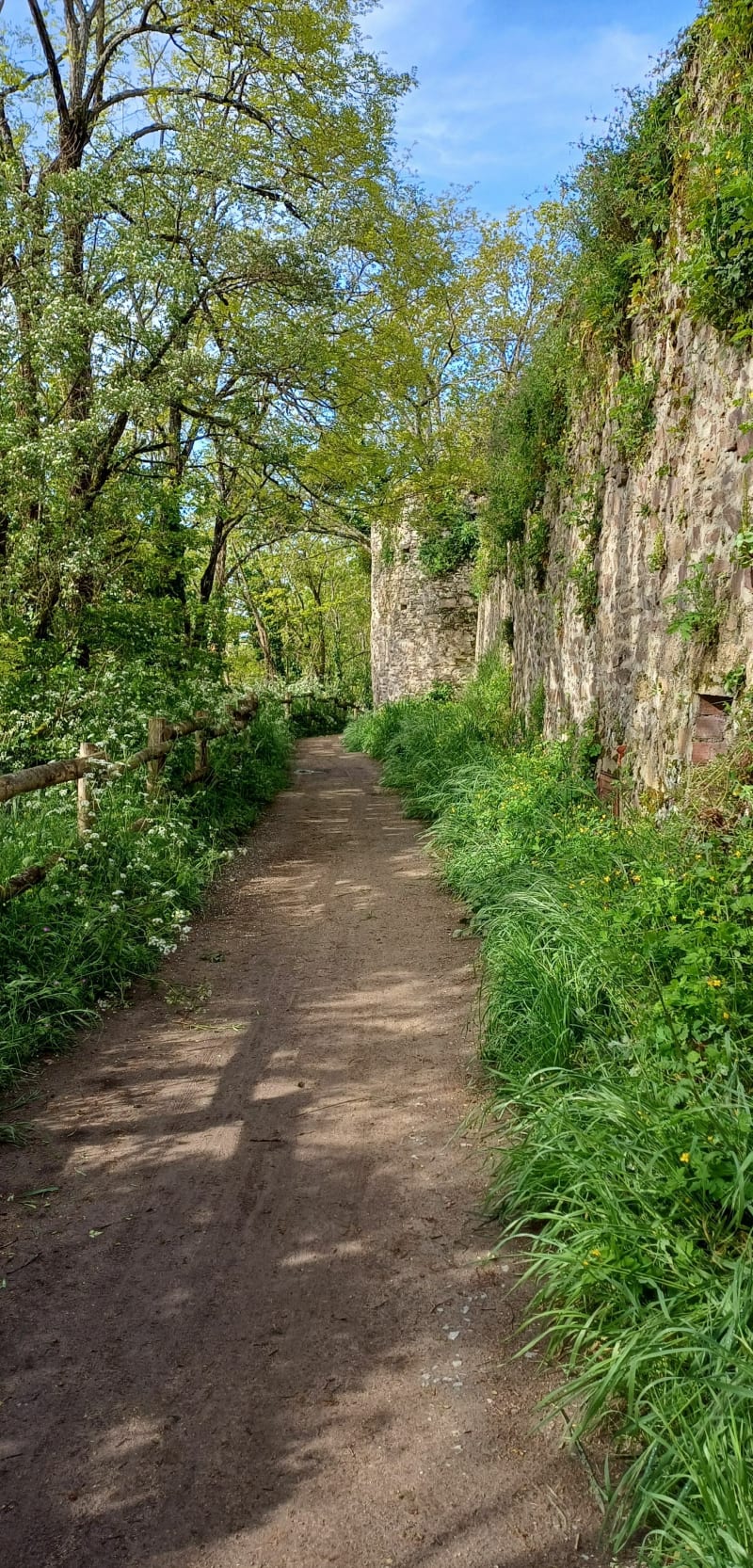 Balade autour du lac de Ribou - Cholet