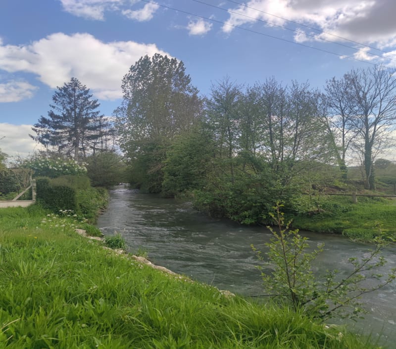 Dans la campagne autour de Douvrend - Douvrend