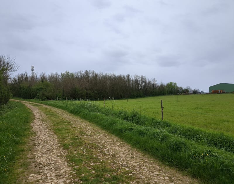 Petit tour par la Mothe Orson - Moutiers-sur-le-Lay
