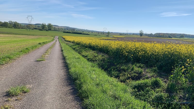 Boucle entre Parroy et Mouacourt - Parroy