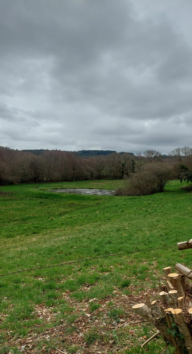 Randonnée de Bonnac, par l'étang de Mortemare - Bonnac-la-Côte