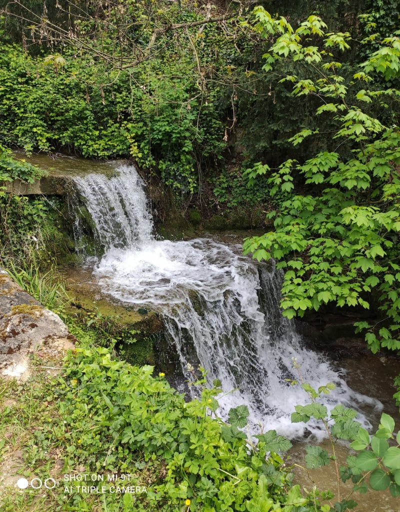 Bord d'Isère et bois des Naix plein de ressources - Bourg-de-Péage