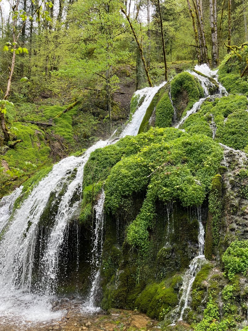 Marche depuis Orgeans-Blanchefontaine - Orgeans-Blanchefontaine