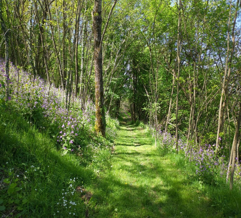 Entre Goutrens et la Capelle Del Vern - Escandolières