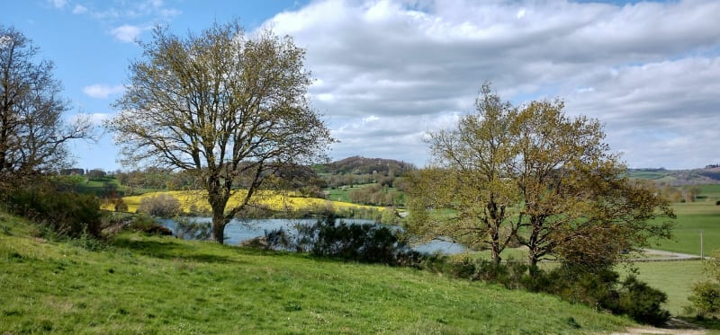 Balade autour du lac de Saint-Amans - Le Truel