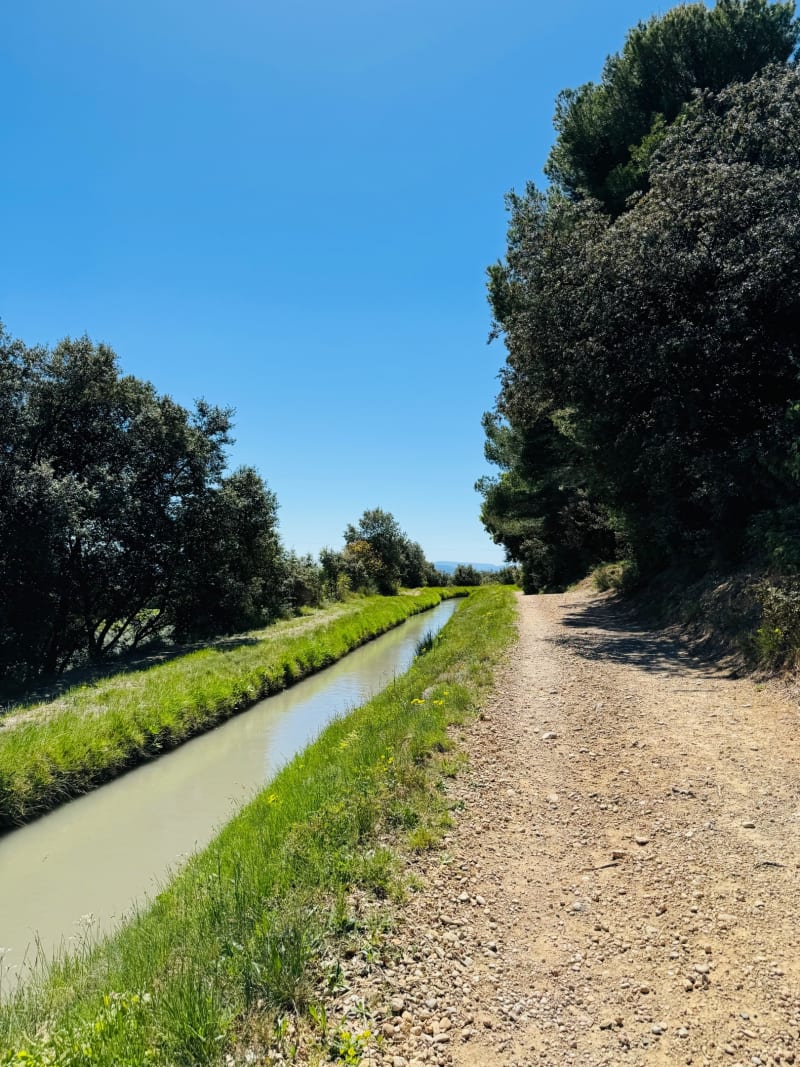 Entre canal et oliviers depuis Volx - Volx