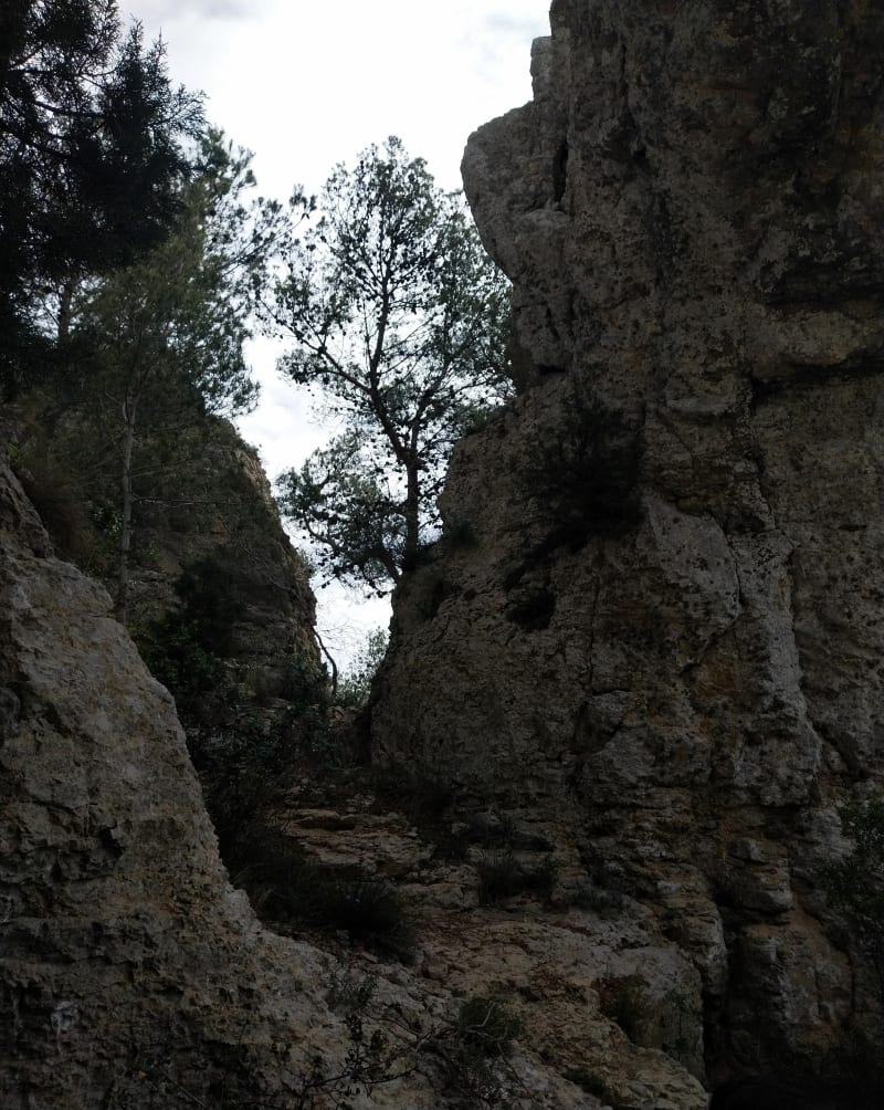 Balade dans la Clape - Narbonne