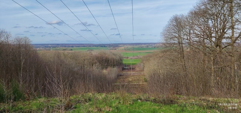 La forêt de Bois d'Arcy - Les Clayes-sous-Bois