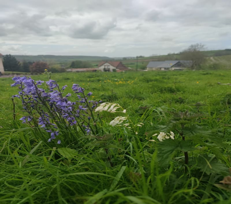 Balade d'Envermeu à Bray - Envermeu