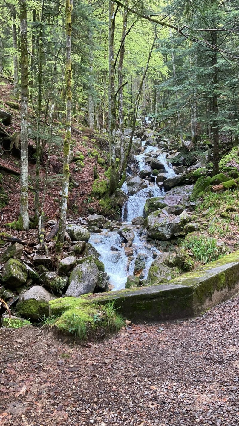 Randonnée du Lac de Kruth et les Cascade du Bockloch - Kruth