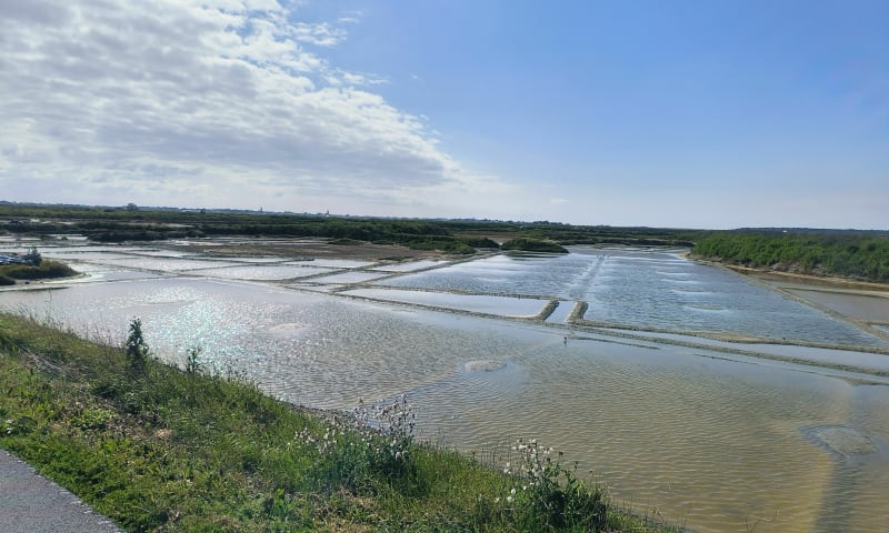Marais salants à Guérande - Batz-sur-Mer