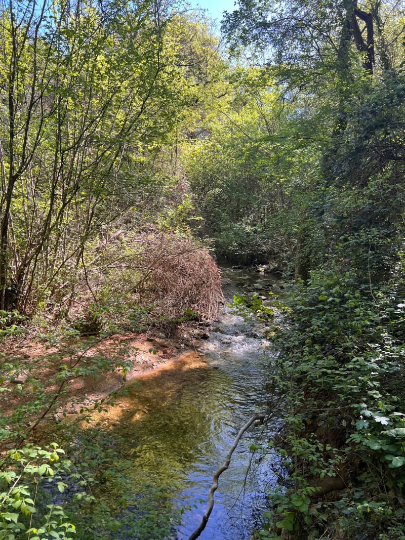 Sources de l’Huveaune et vue sur la Sainte-Baume - Saint-Zacharie
