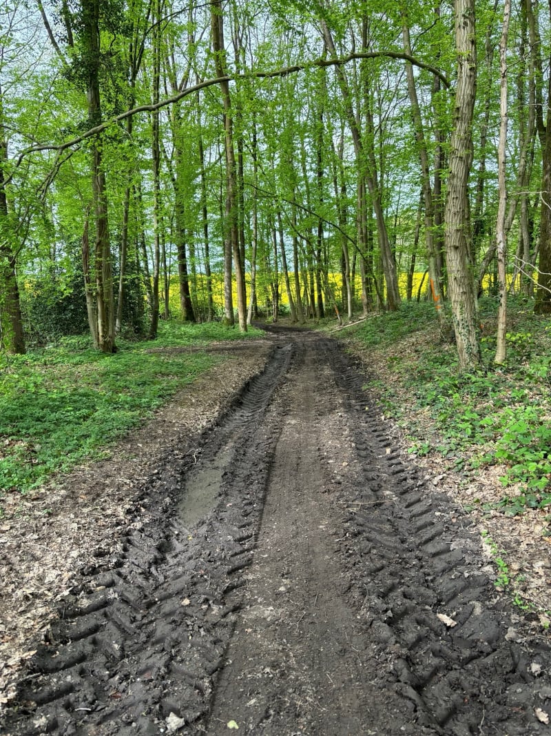 Balade en forêt depuis La Neuville-d'Aumont - La Drenne