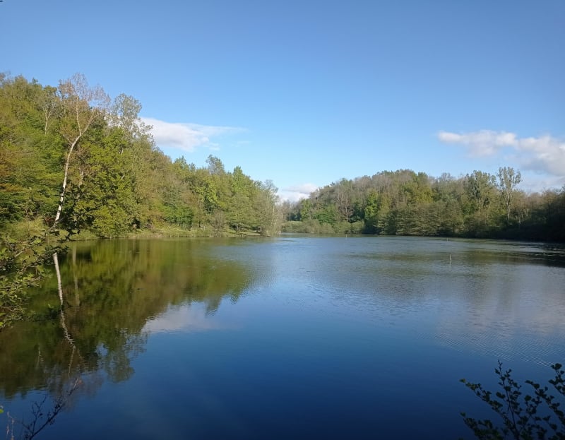 Culin entre étang et sous-bois - Culin
