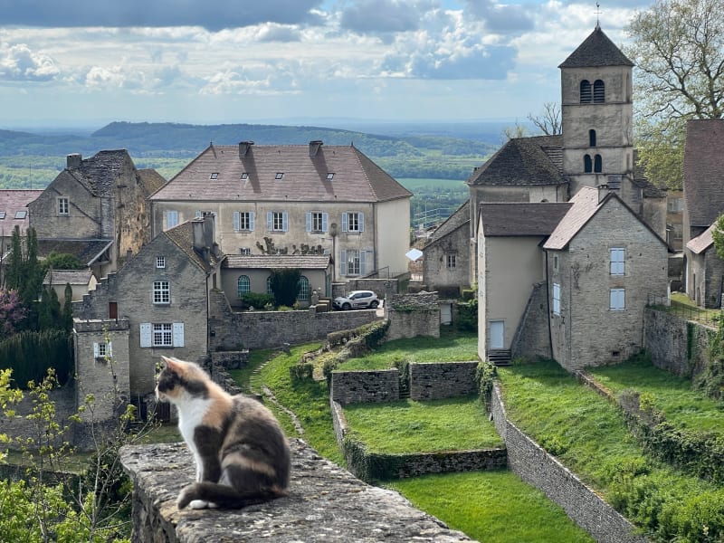 Boucle de Mantry à Baume les Messieurs par Poligny - Mantry