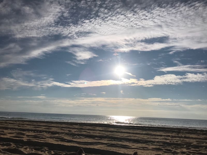 Balade entre Soustons et Cap-Breton - Soustons
