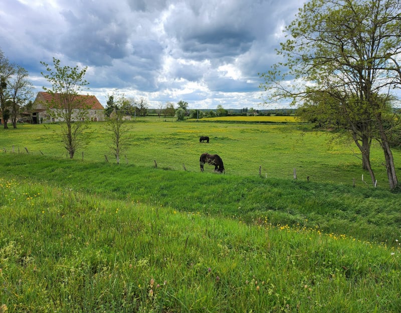 La Loire à velo depuis Marseilles-lès-Aubigny - Jouet-sur-l'Aubois