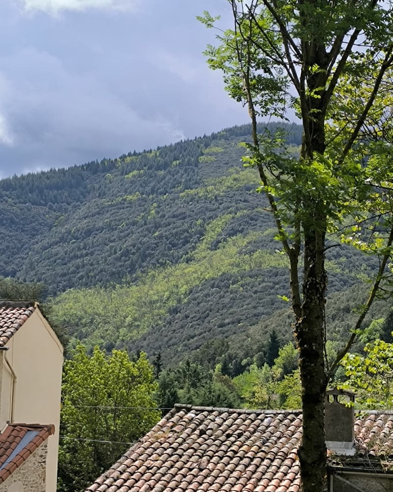 Boucle Riols, Coumeilho - Riols
