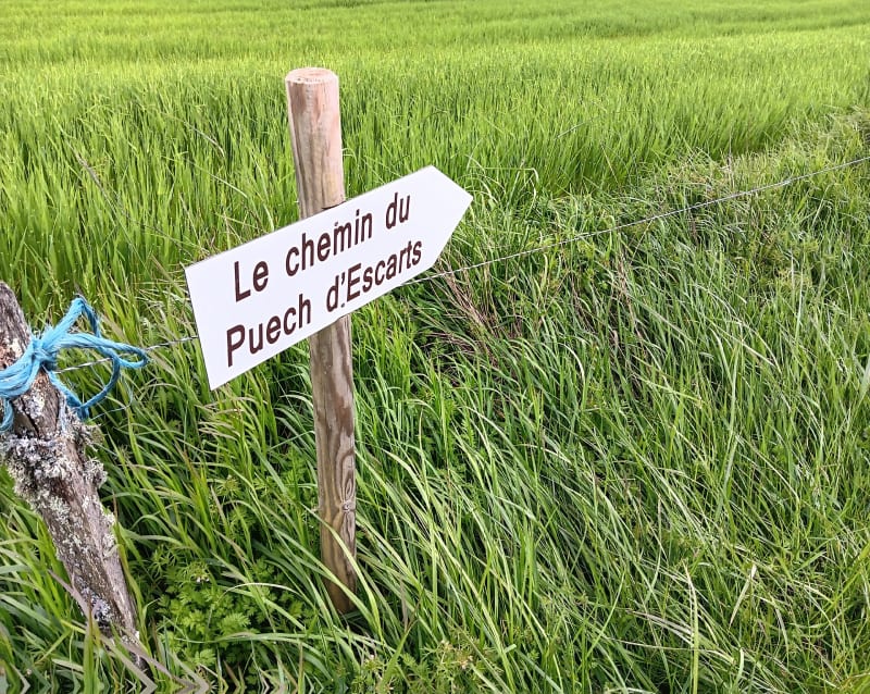 Chemin du Puech d'Escarts - Najac