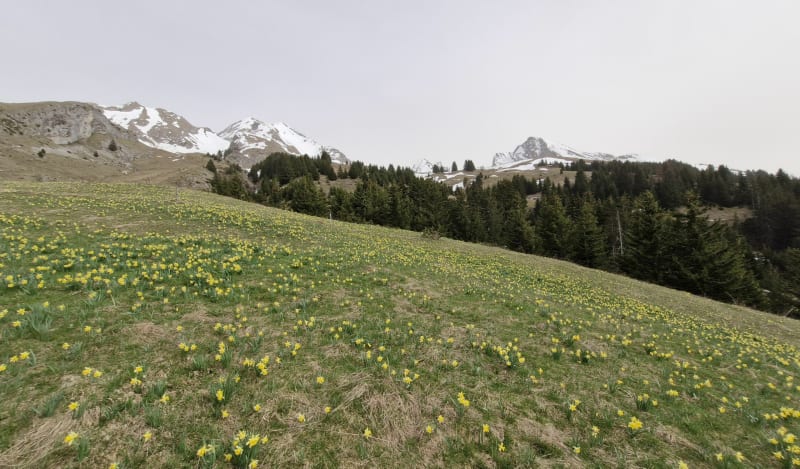 Les Fontanettes par les d'Zeures - Le Bouchet-Mont-Charvin