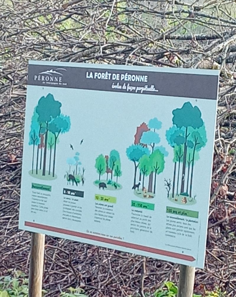 Balade au Bois de Péronne - Péronne