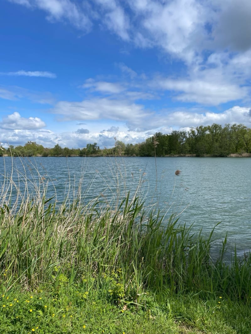Balade autour d’Argancy et le long du canal - Chailly-lès-Ennery