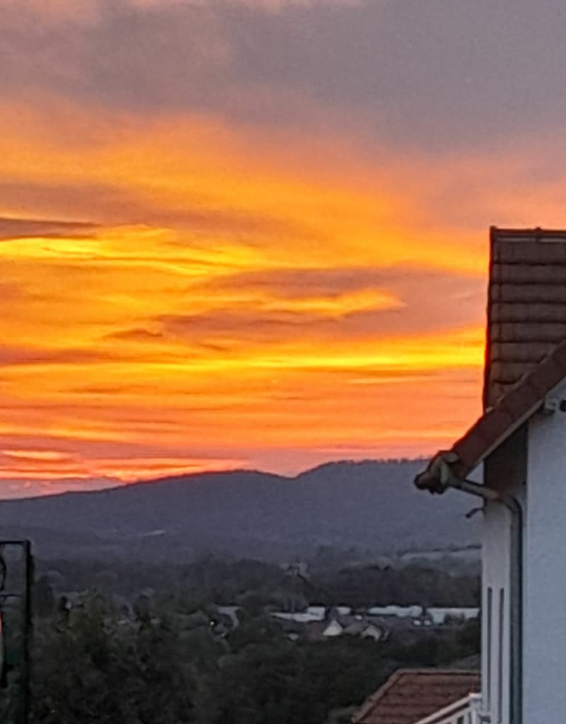 Chemin de Griesbach depuis Gundershoffen - Gundershoffen