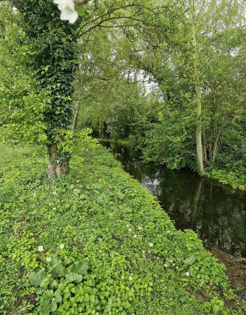Petite boucle d'Esquerchin - Cuincy