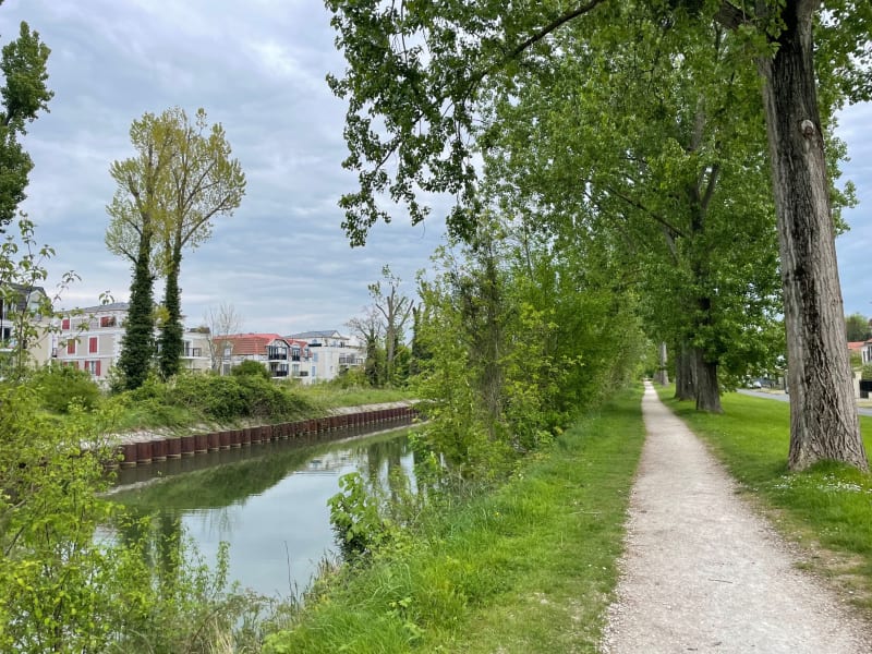 Bord de Marne et du canal de Chelles à VTT - Chelles