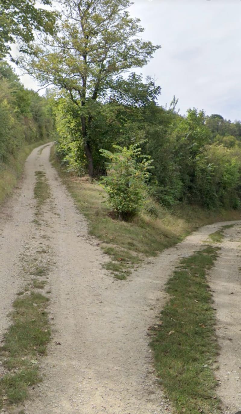 Entre champs et maisons à Saint-Georges-lès-Baillargeaux - Saint-Georges-lès-Baillargeaux