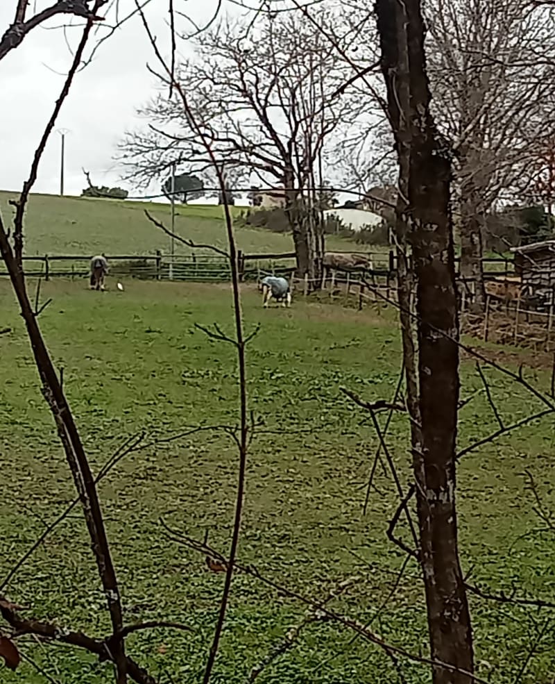 Balade entre Lourquen et Monfort en Chalosse - Lourquen